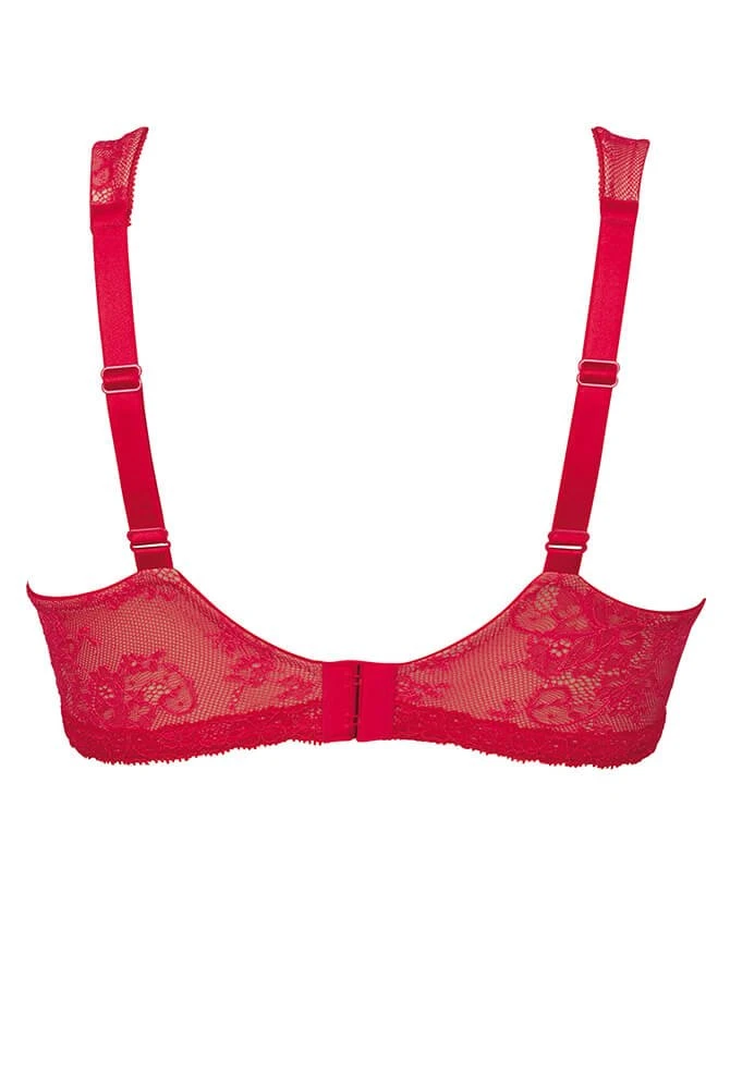 Rosa Faia Abby Bügel BH Mit Molding 5 Rosa Faia Abby Bügel BH Mit Molding – Bild 5